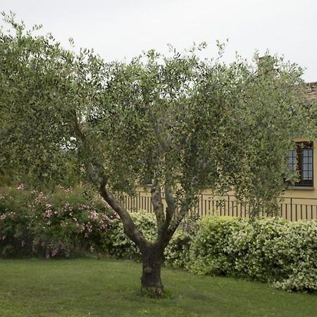 Agriturismo Scuderie Della Contea Сутри Экстерьер фото