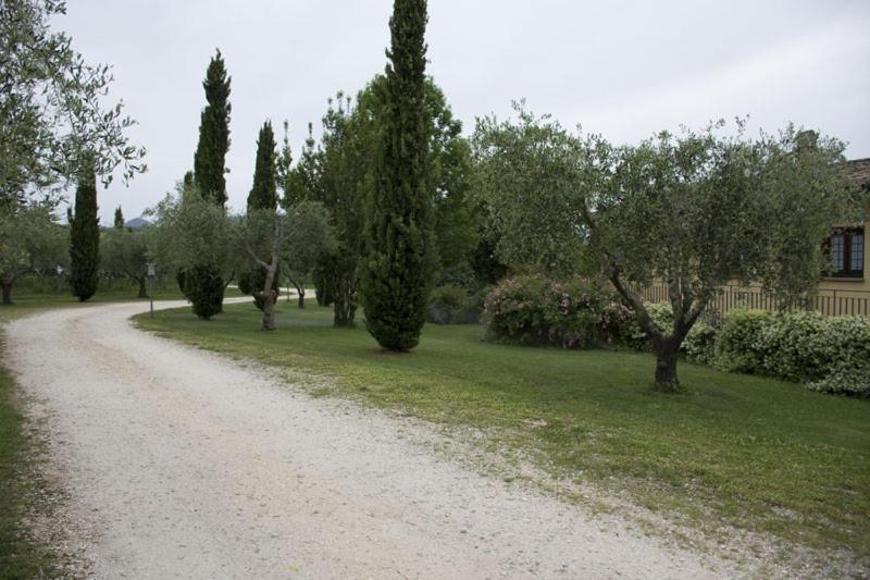 Agriturismo Scuderie Della Contea Сутри Экстерьер фото
