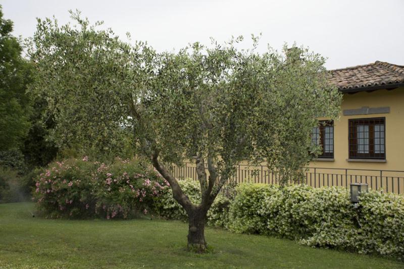 Agriturismo Scuderie Della Contea Сутри Экстерьер фото